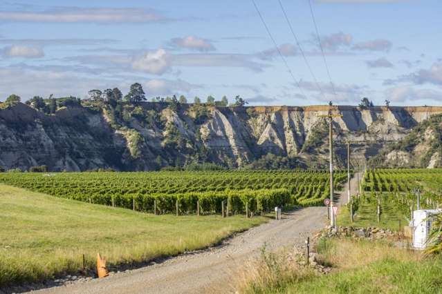 1905 Matapiro Road Crownthorpe_3
