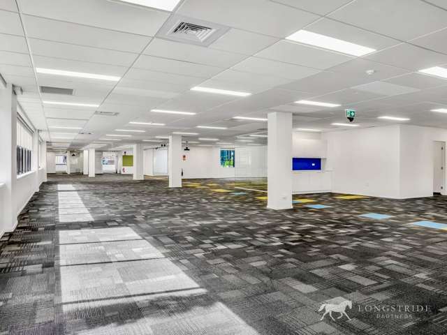 100 Carlton Gore Road Newmarket_1