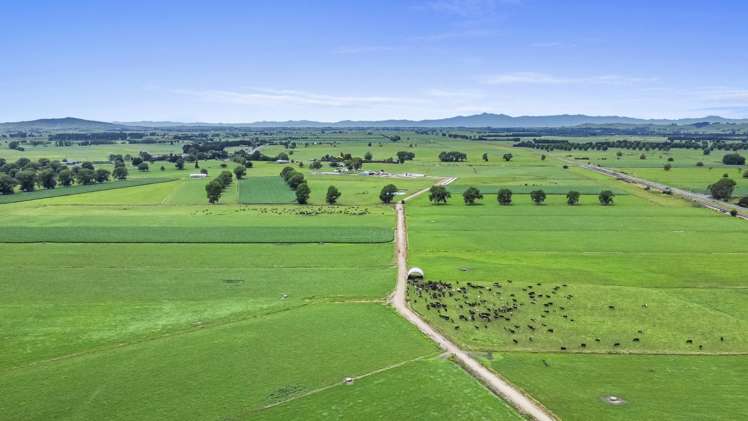 51a Waverley Road Gordonton_30