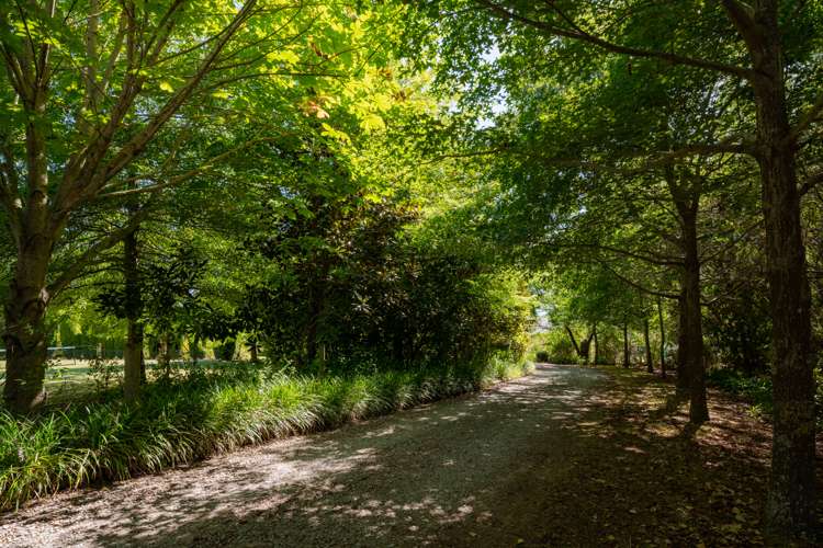 129 Waihopai Valley Road Waihopai Valley_26