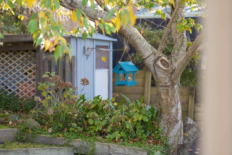 10 Dell Road Raumati South_6