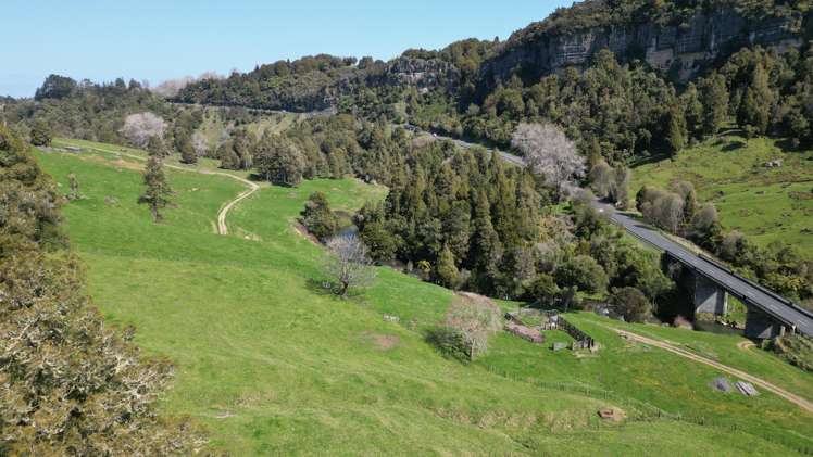 953 State Highway 3 Piopio_24