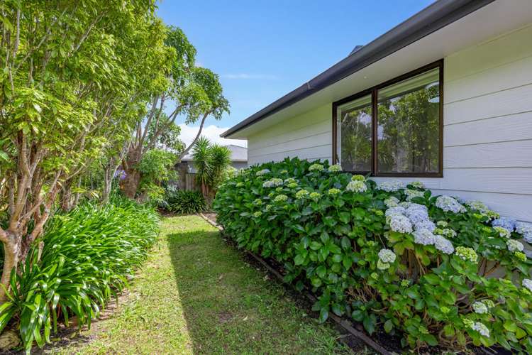 2/6 Wech Drive Warkworth_19