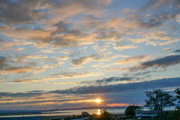 411 Millington Place Thames_23