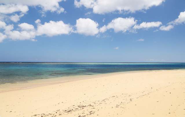 Matana Plantation Koro Island_2