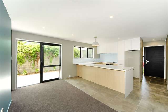 60c Creyke Road Ilam_3