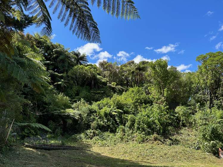 11 Gribble Grove Stokes Valley_5