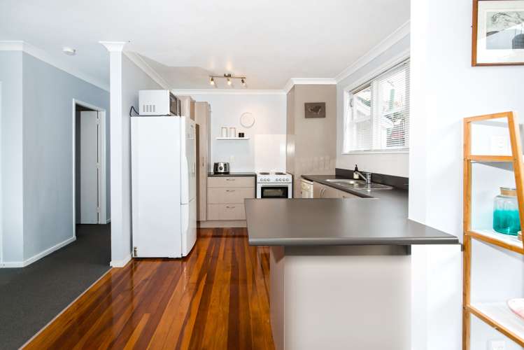 11 Mcculloch Road Panmure_9