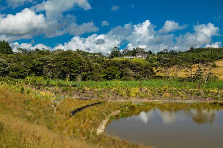 5 Bight Road Long Bay_10