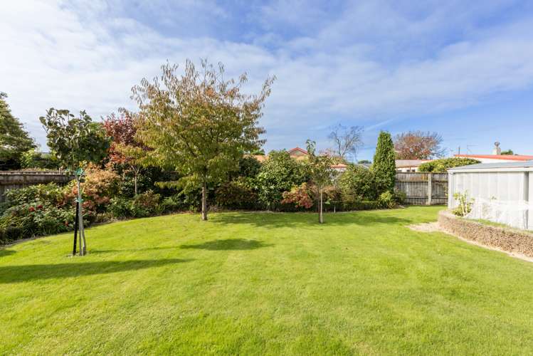 18 Mission Road Greenmeadows_17