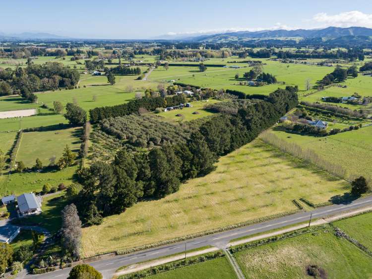 417 Upper Plain Road Masterton_16