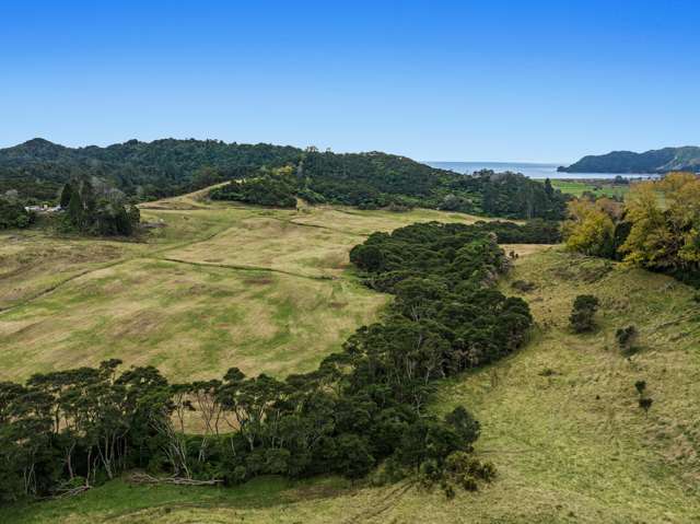 183 Wainui Road Opotiki Coastal_4