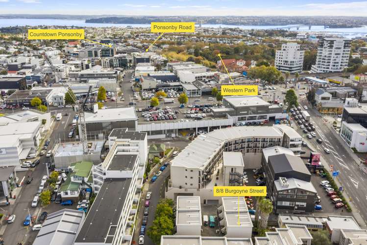 8/8 Burgoyne Street Grey Lynn_18