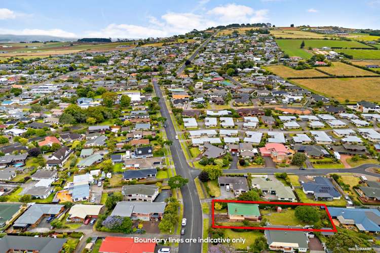 161 Wellington Street Pukekohe_14