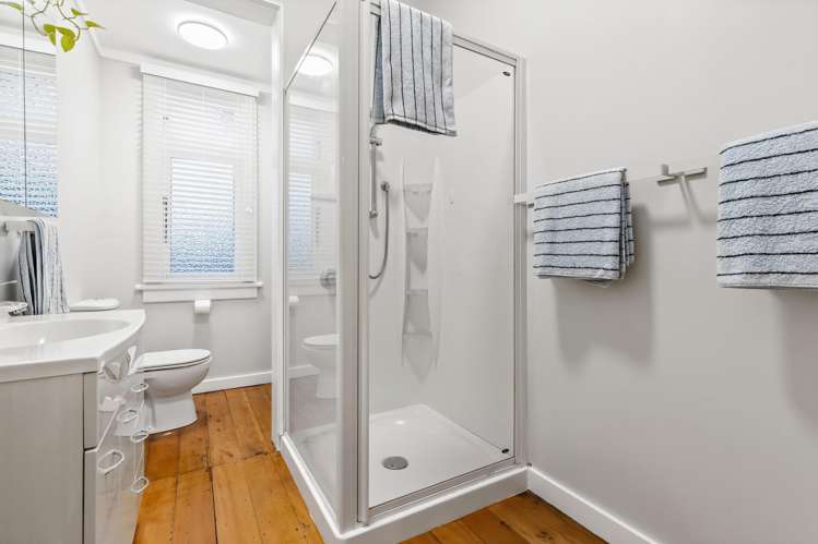 2a Gardner Avenue New Lynn_23