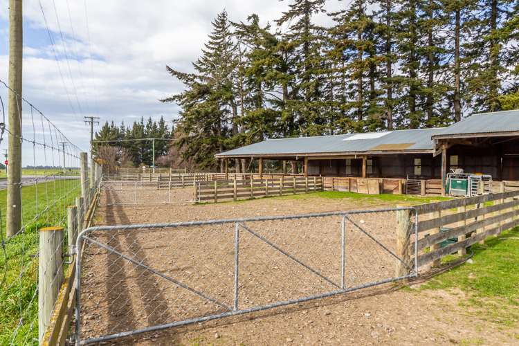 3716 Old West Coast Road Sheffield_13