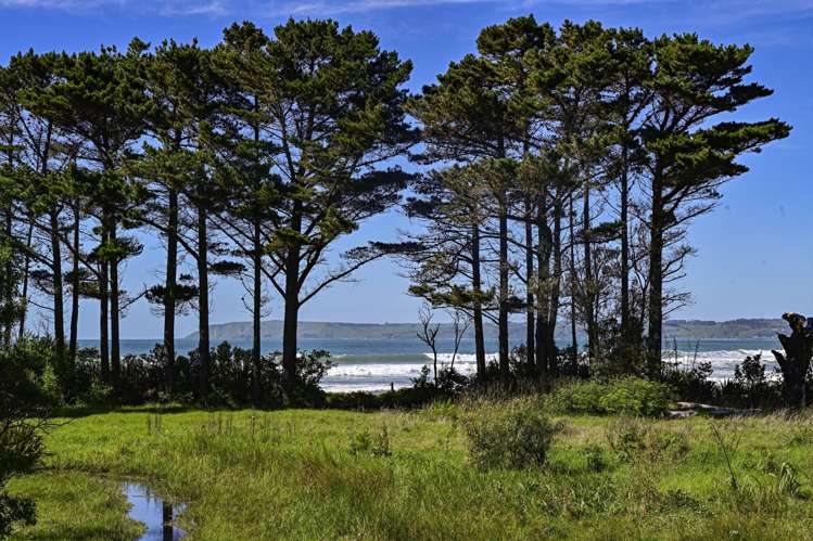 54 Happy Jacks Road, Mahanga Mahia Peninsula_26