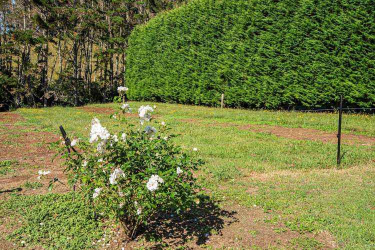 21 Going Road Matarau_34