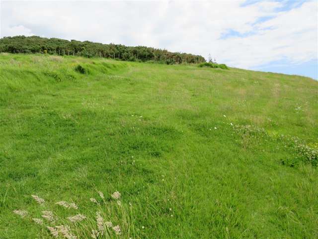 22 Opononi Heights Drive Opononi_4