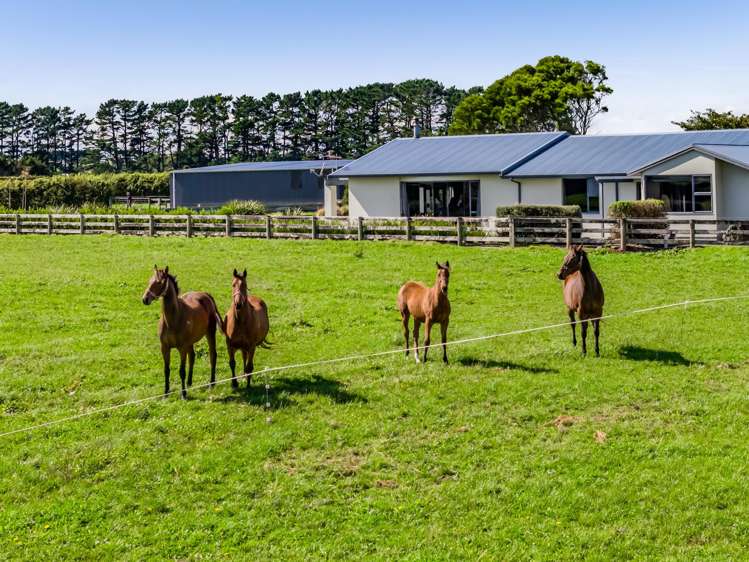 52 Climie Road Stratford_45