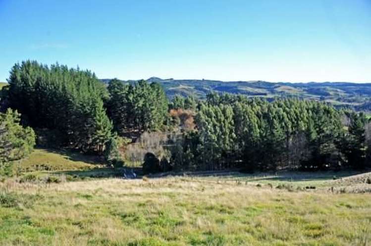 33 Dons Creek Road Waitati_3