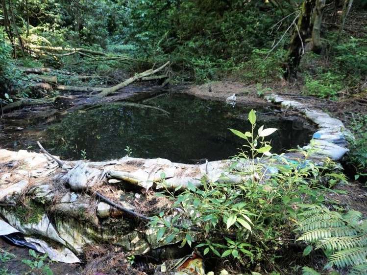 1788 Manawahe Road Manawahe_6