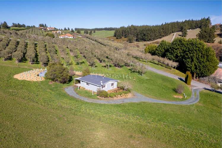 151 Horton Road Tasman_14