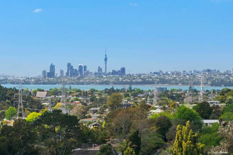 321 Don Buck Road Massey_3