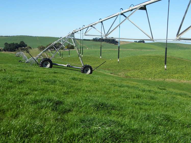 301 Whartons Road Five Forks and Surrounds_2