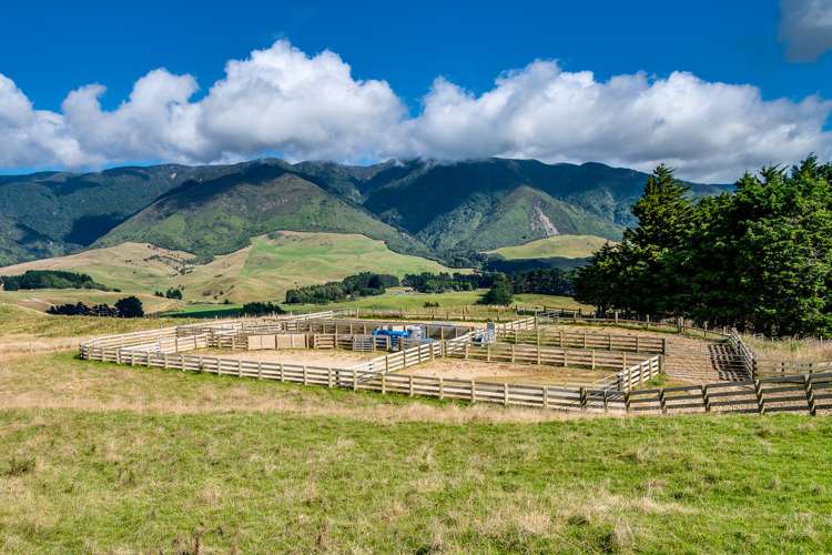 Mangleton Road Central Hawkes Bay Country_11