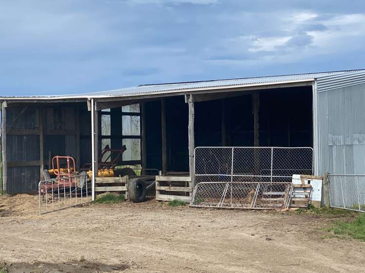 39 Hall Road Awarua Plains_6