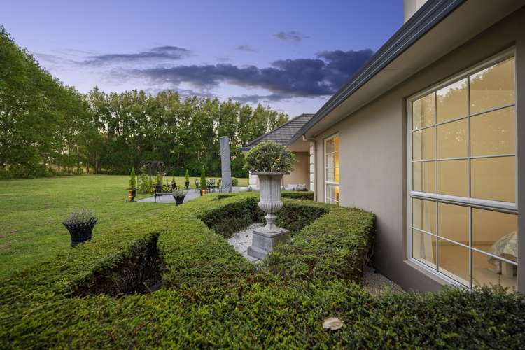 295 Postman Road Dairy Flat_5