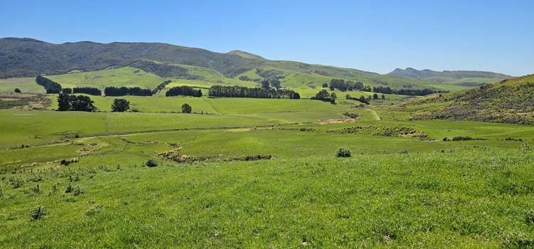623 Slopedown Road Catlins Surrounds_2