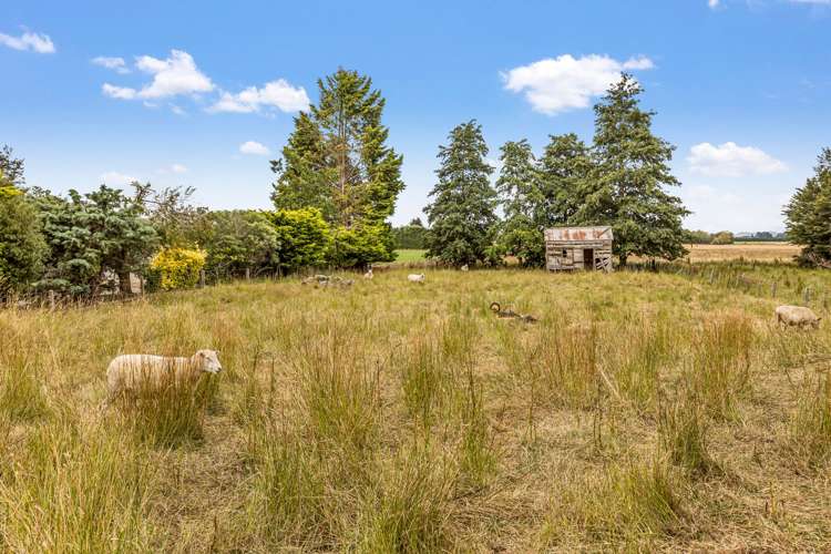 69 Queen Street Balfour_17