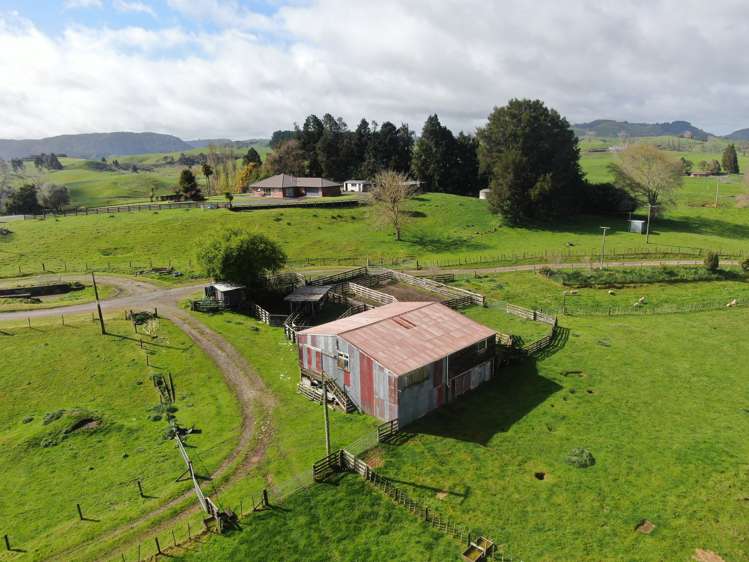 406 Aria Road Piopio_45