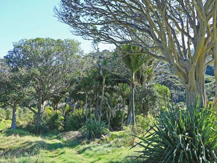 24 Boulder Bay Drive Tuateawa_14