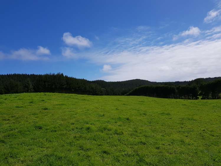 4969 Pouto Road Pouto_6