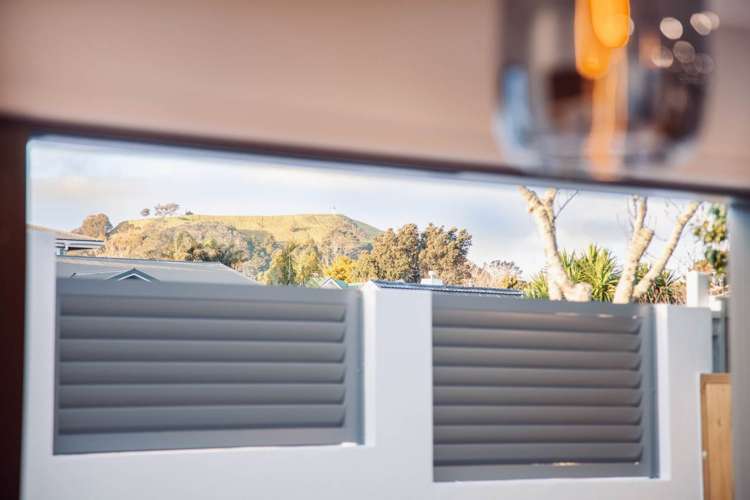 17 Dexter Avenue Mount Eden_29