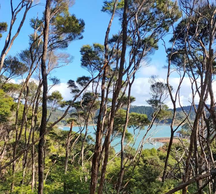 Lot 7 Smelting House Bay Kawau Island_8