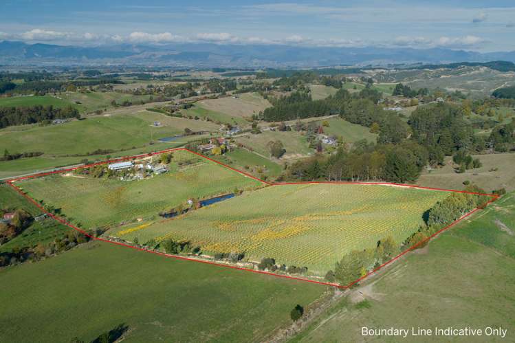 171 Carlyon Road Mahana_0