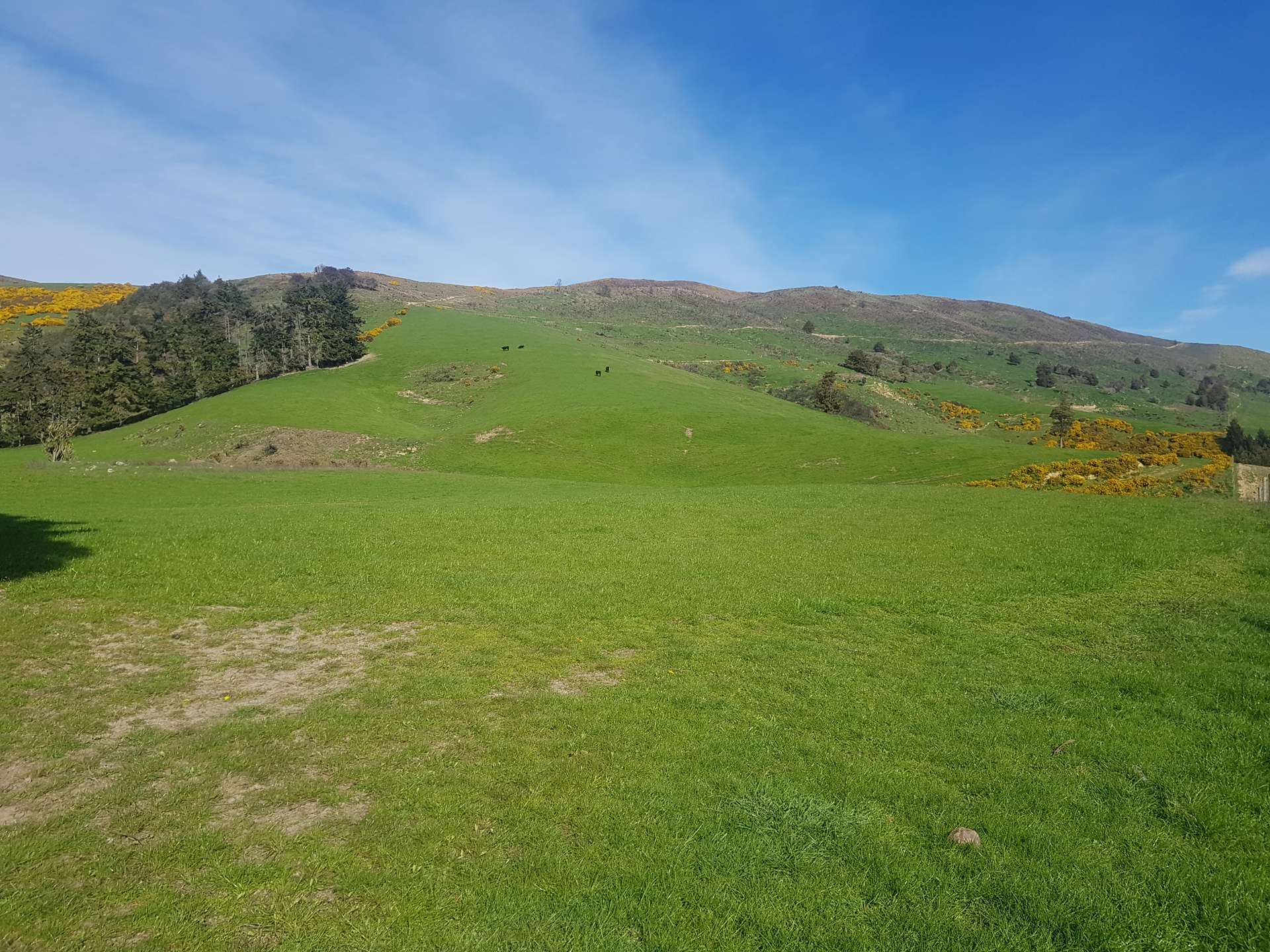 173 Glenfalloch Road Catlins Surrounds_0