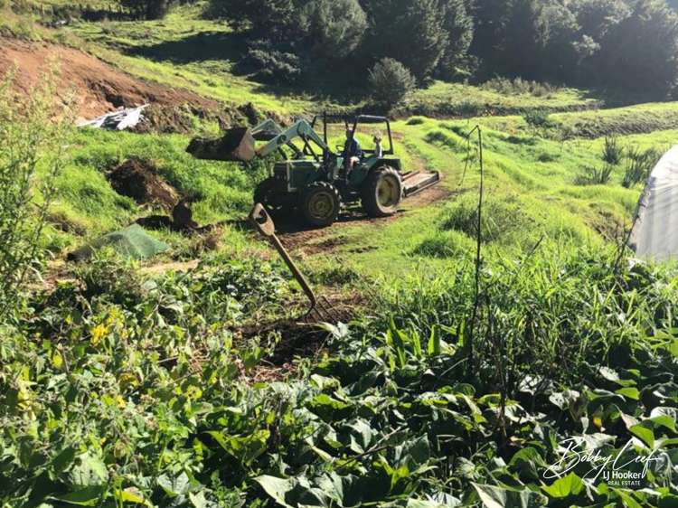 139 Warner Road Takahue_8