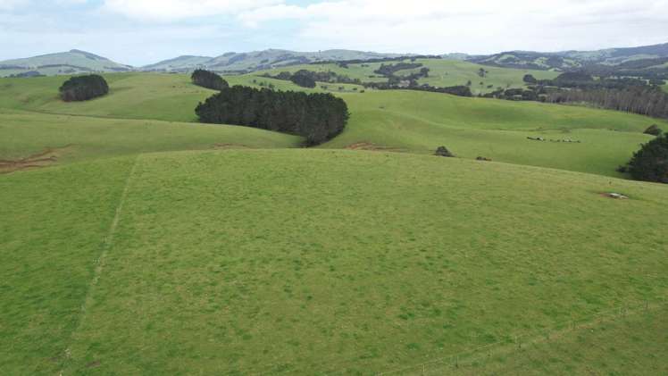 3902 State Highway 12 Dargaville Surrounds_12