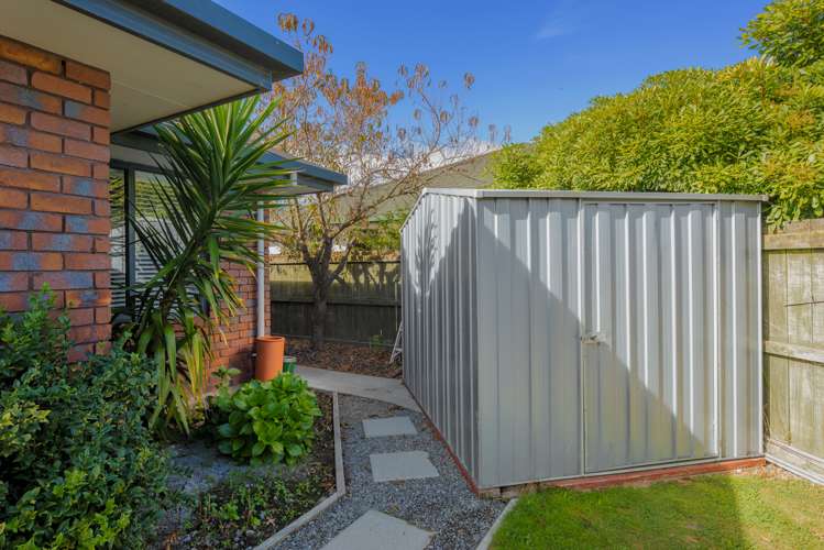 31 Adams Lane Springlands_21