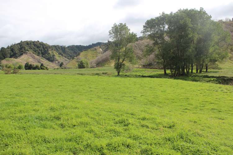 652 Piko Road Okoki_25