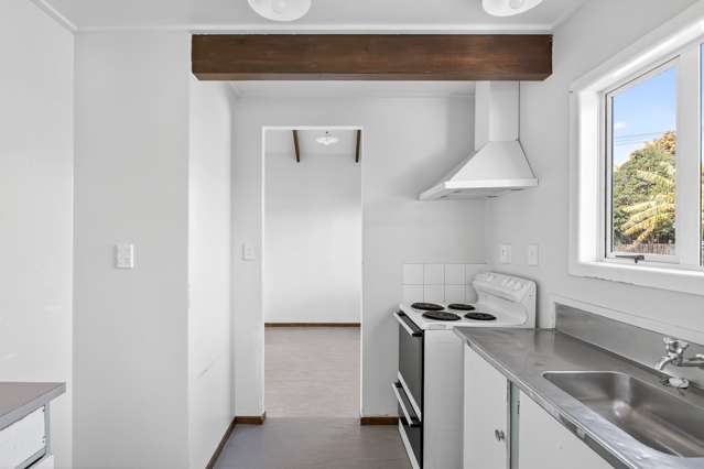 4 Tui Street Outer Kaiti_4