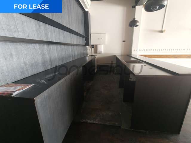 14 Ponsonby Road Grey Lynn_3