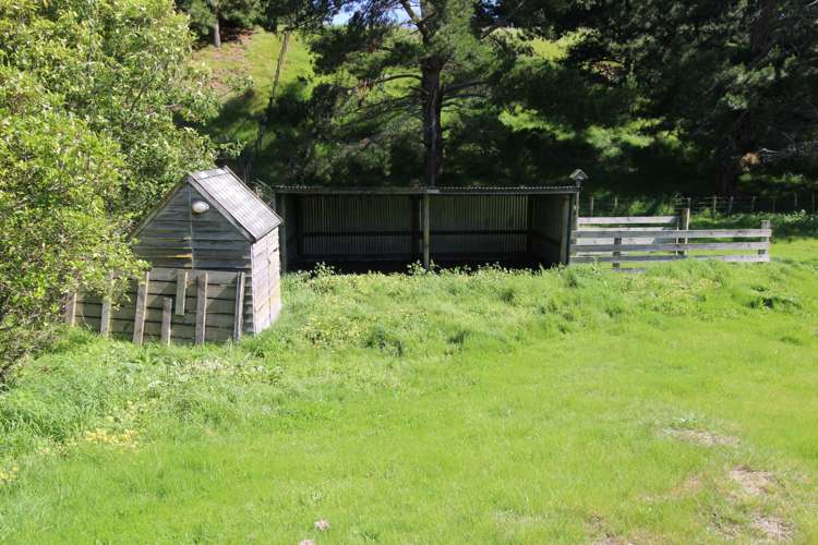 124 Union Street Foxton_20