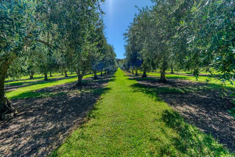 478 Hihi Road Mangonui_34