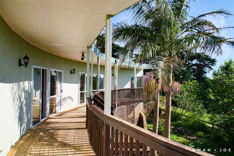 218 Postman Road Dairy Flat_7